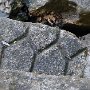 carved-stone-1