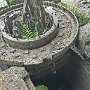 crane-pit-1