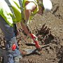 digging-8