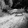 rails-1