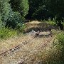 rails-1a