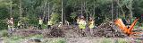 The week 1 team sopent a day at Goytre Wharf, doing a little forestry.