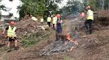 forestry_10
