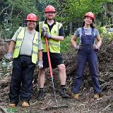 forestry_11