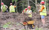 forestry_2