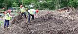 forestry_5