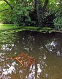 Peace returns to the canal, until next year!