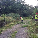 Day 1: Clearing vegetation
