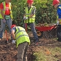 Working on the eastern edge of the site