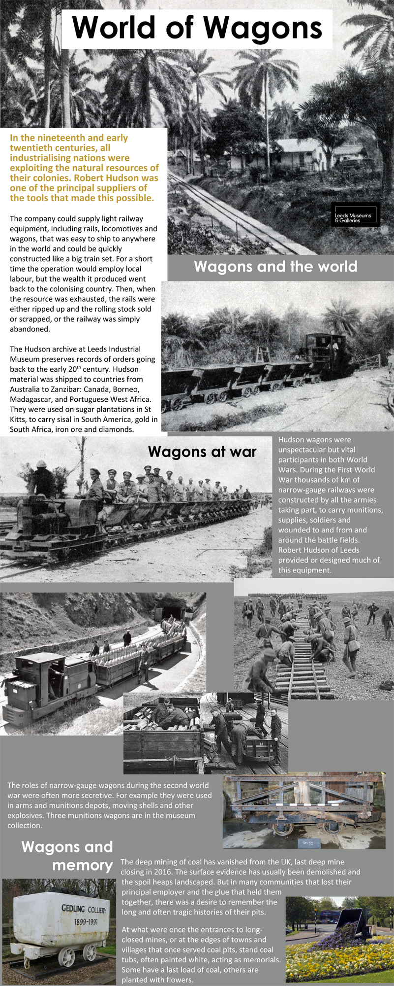 World of wagons display panel 2