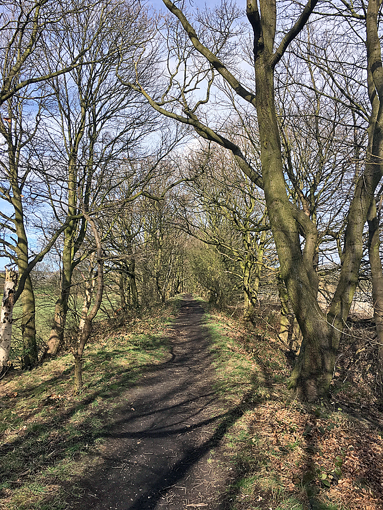 A path along the top of a long-disused railway embankment lined with trees.